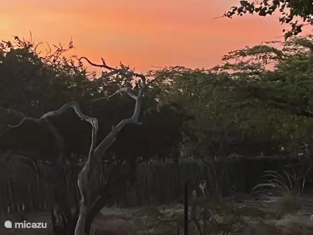 Location de Vacances Bonaire, Bonaire, Kralendijk, maison de vacances - Kas Merlot Couchers de soleil fantastiques depuis le porche en fin de journée