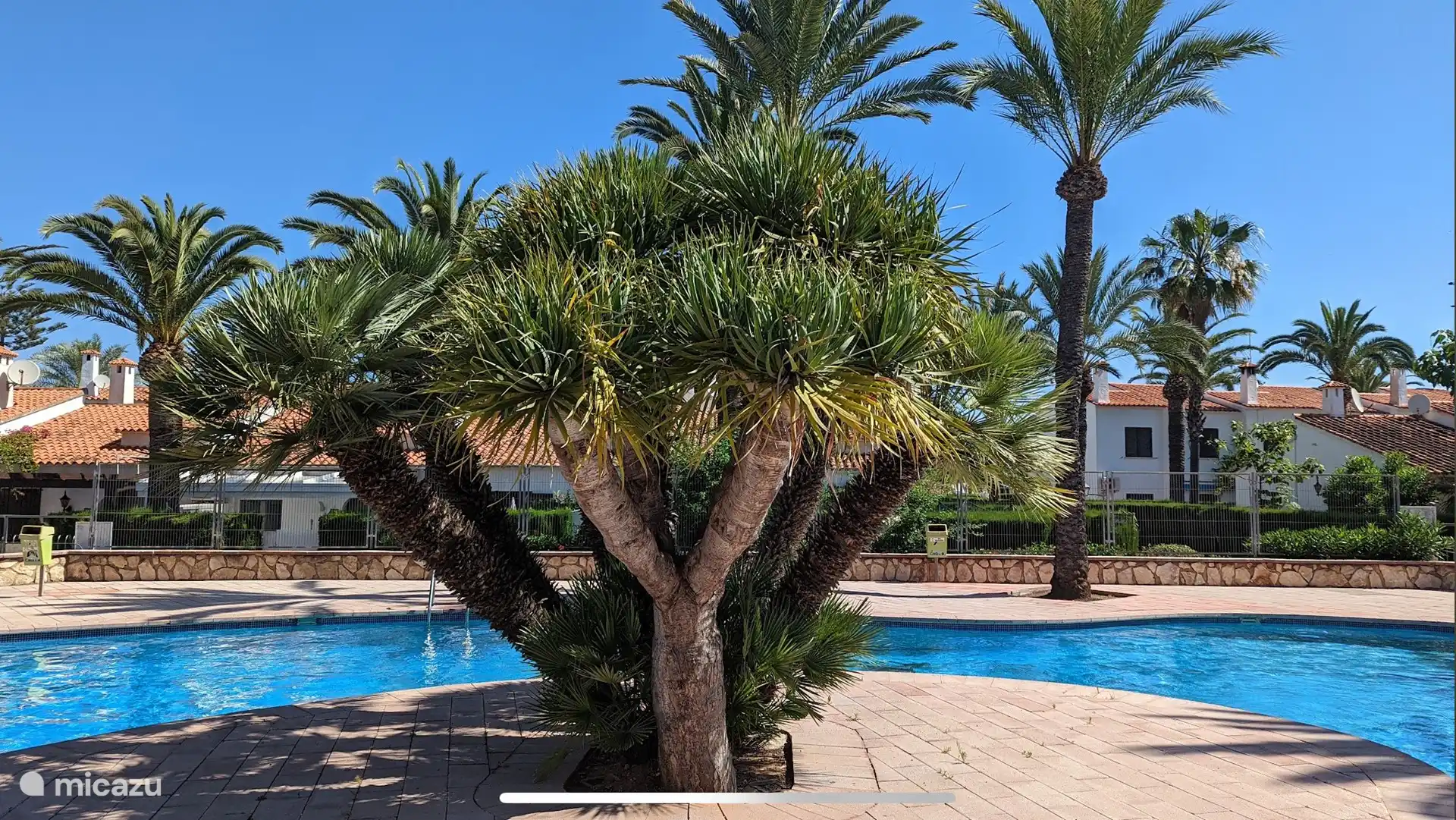 Swimming pool El Palmar