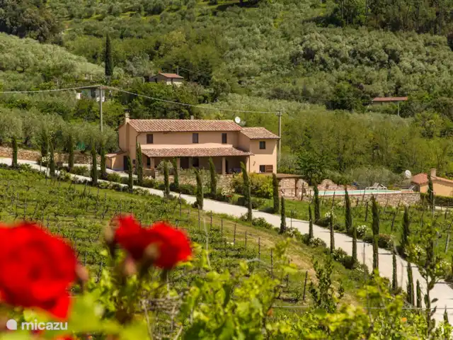Villa Pontedera en Italia, Toscana, Pisa - villa Villa Pontedera