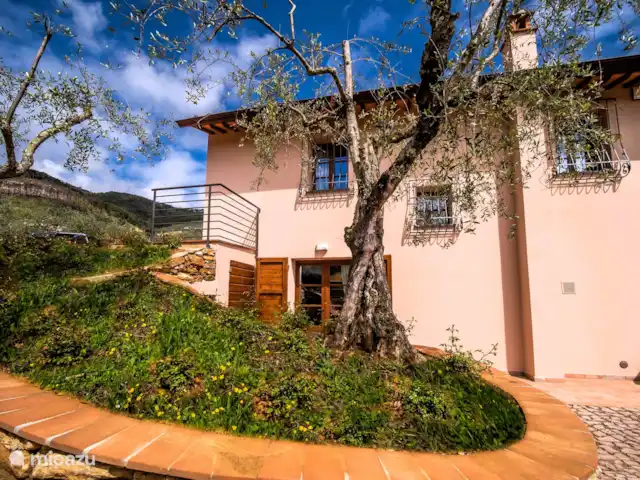 Villa Verde Toscana en Italia, Toscana, Pisa - villa Villa Verde Toscana