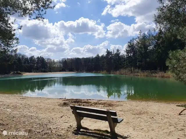 Wellnesshuis zwembad,sauna,jacuzzi  huren in Nederland, Drenthe, Schoonloo - vakantiehuis Wellnesshuisdrenthe prive zwembad