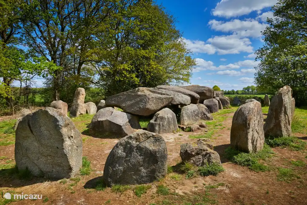 Wellnesshuisdrender private Pool