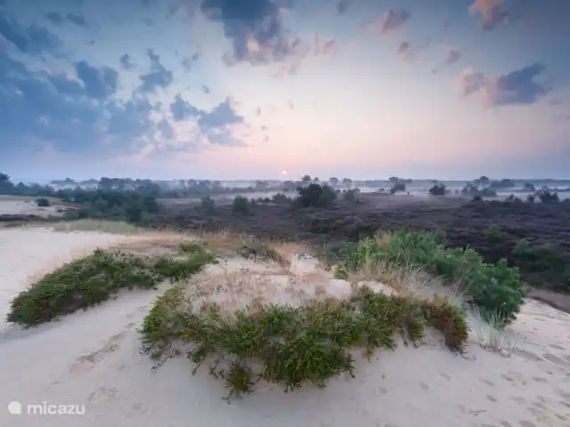 Wellnesshuis zwembad,sauna,jacuzzi  huren in Nederland, Drenthe, Schoonloo - vakantiehuis Wellnesshuisdrenthe prive zwembad