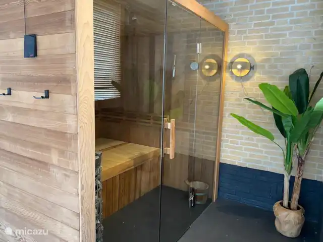 Wellnesshuis zwembad,sauna,jacuzzi  huren in Nederland, Drenthe, Schoonloo - vakantiehuis Wellnesshuisdrenthe prive zwembad