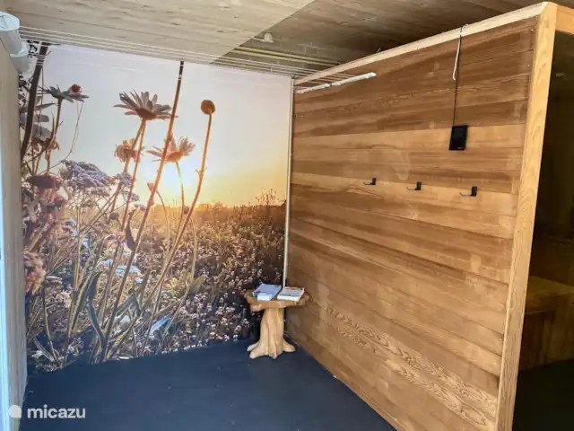 Wellnesshuis zwembad,sauna,jacuzzi  huren in Nederland, Drenthe, Schoonloo - vakantiehuis Wellnesshuisdrenthe prive zwembad