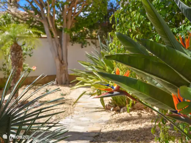 Viramar | Espagne, Costa Blanca, Moraira - villa