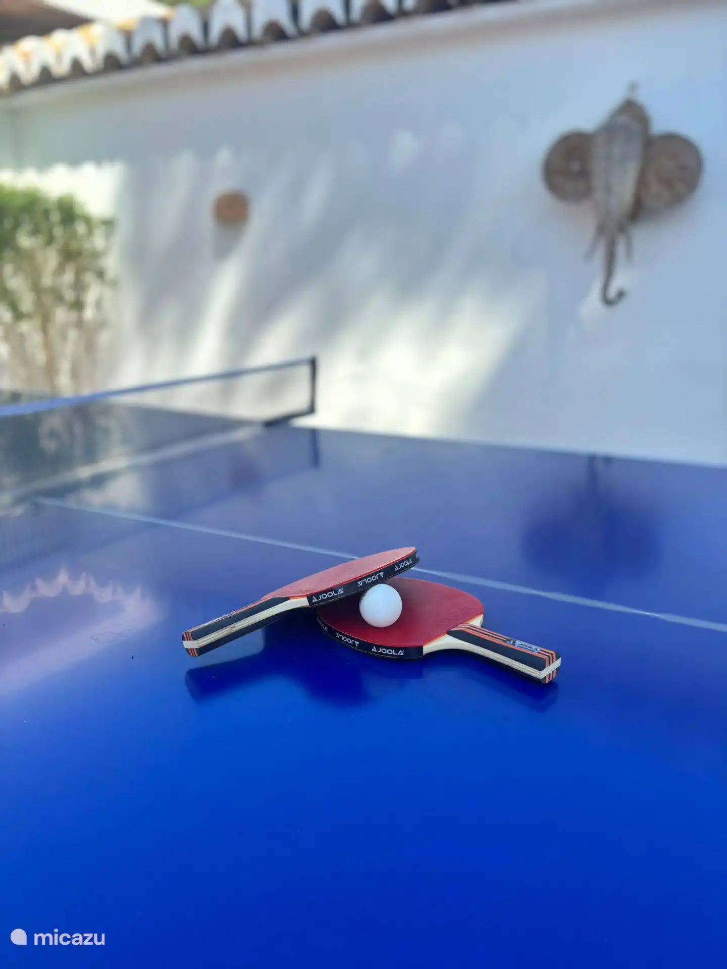 Tischtennisplatte für den Außenbereich