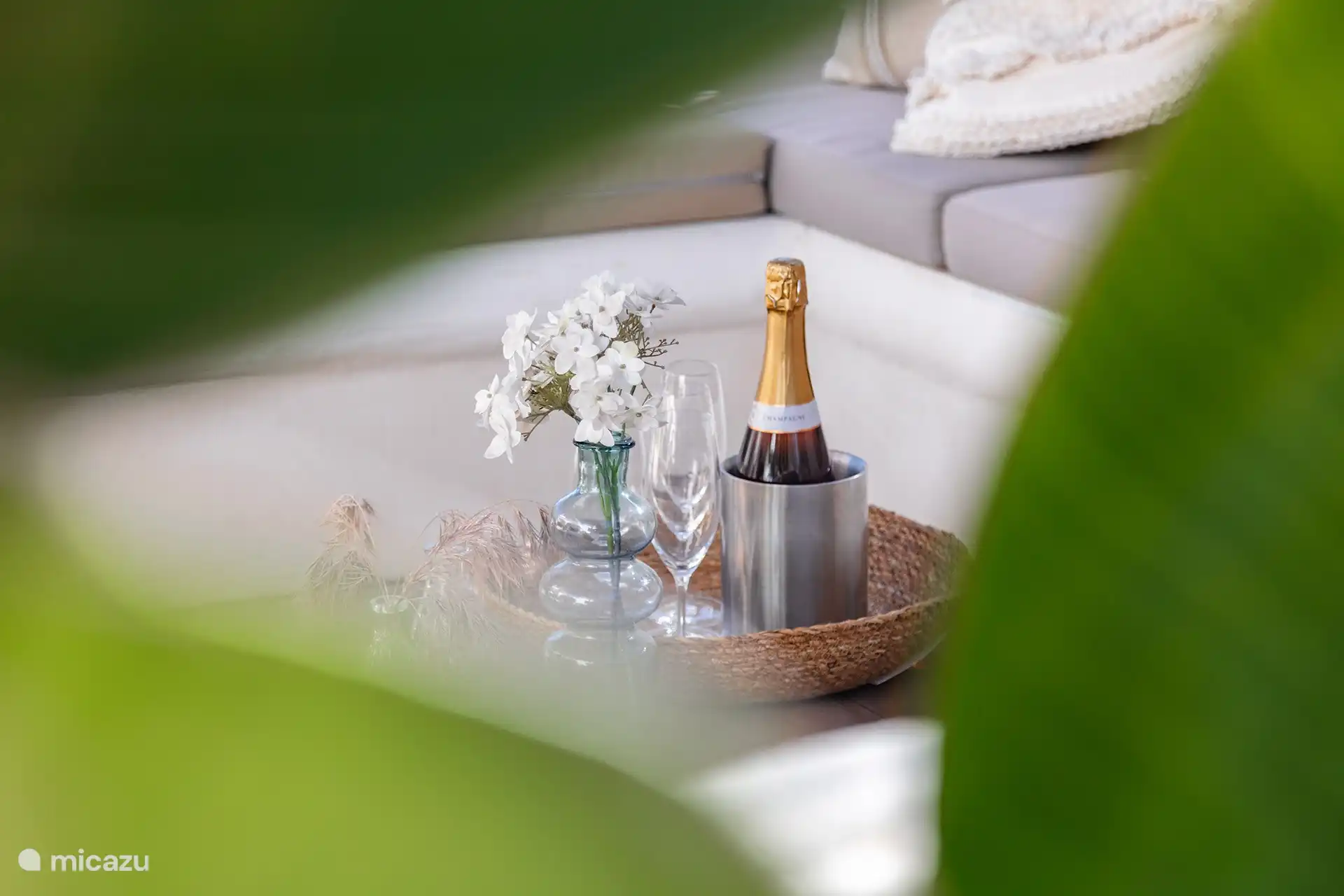 Dégustez une bouteille de cava