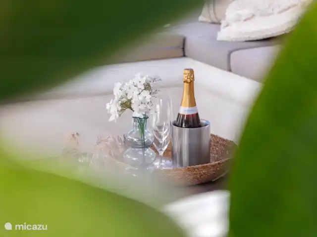 Villa Silasola huren in Spanje, Costa Blanca, Jávea - villa Geniet van een flesje cava