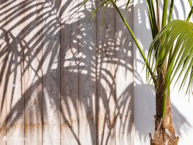 Villa Silasola huren in Spanje, Costa Blanca, Jávea - villa Palm