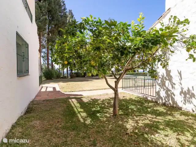 Mirador de Calahonda en España, Andalucía, Calahonda - apartamento Jardín comunitario