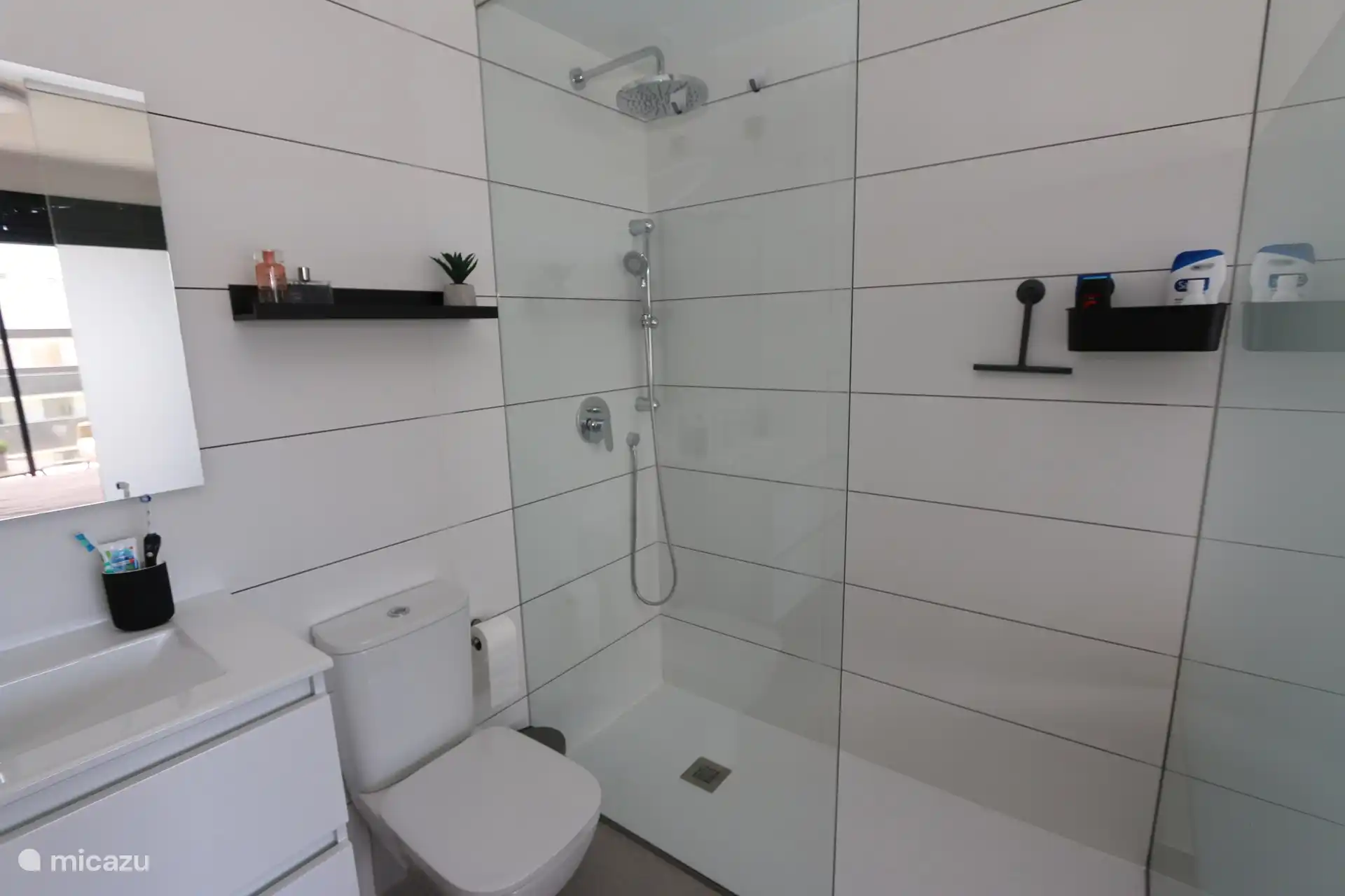 Salle de bain avec douche à l’italienne