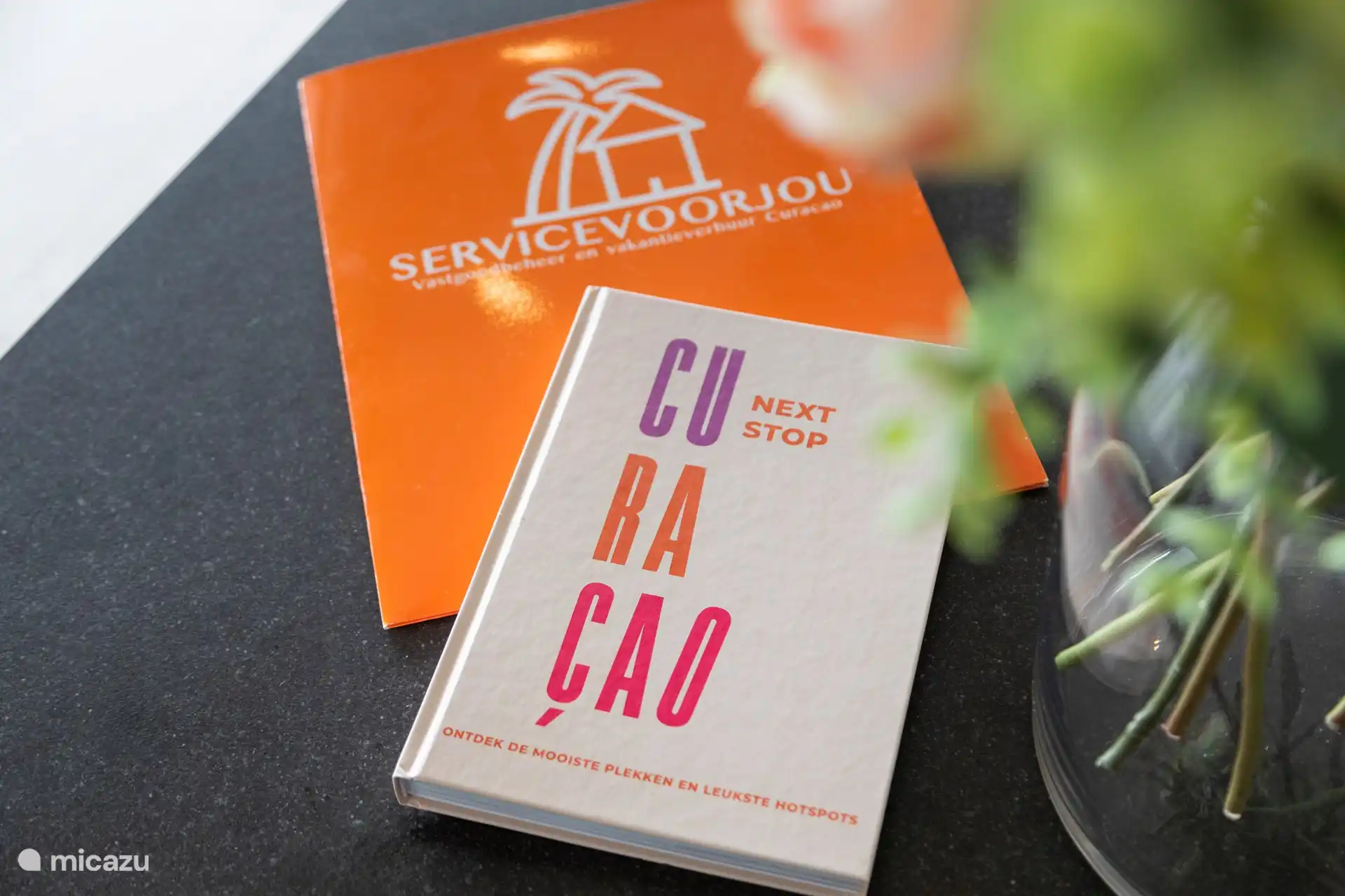 Servicevoorjou is happy to welcome you!