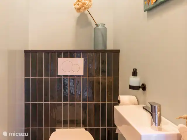 Petitville en Países Bajos, Utrecht, Zeist - casa paredada La puerta del aseo de la planta baja se encuentra en el lado derecho del pasillo inmediatamente después de entrar.