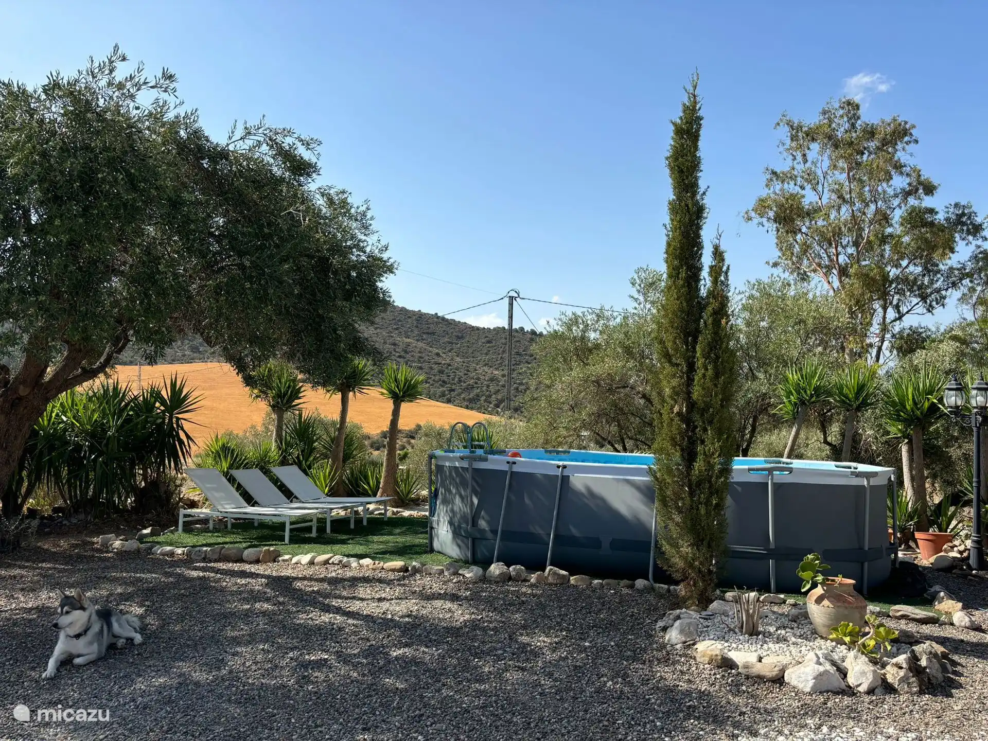 Swimming pool with sunbeds