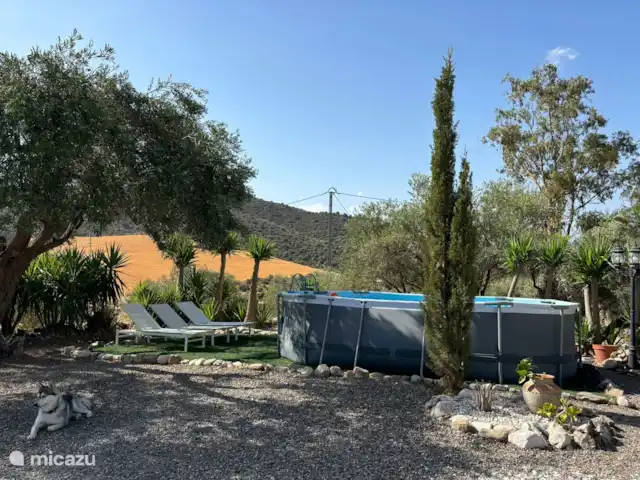 Casa Carla Andalucia - Studio Cabra | Espagne, Andalousie, Almogía - studio Piscine avec transats