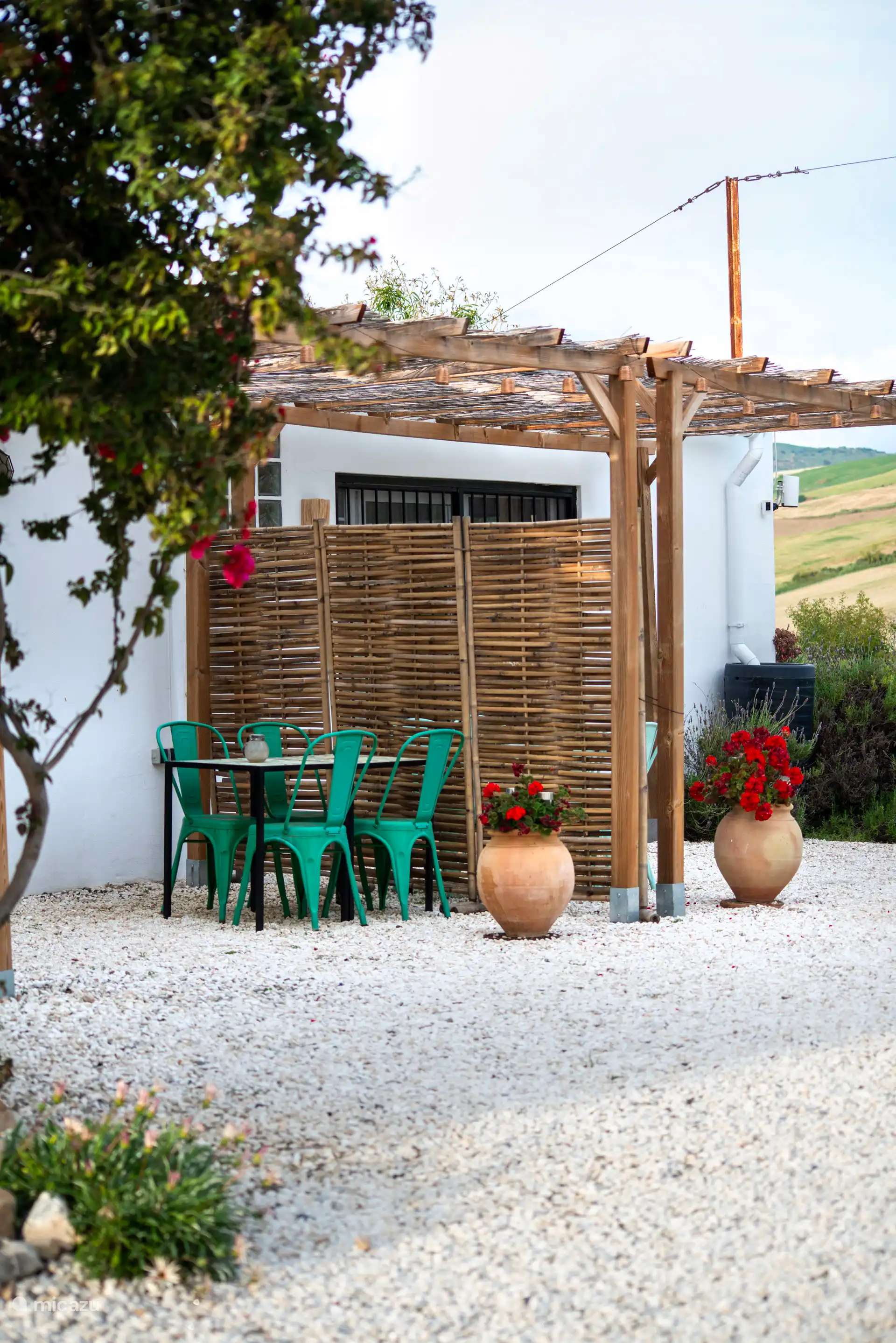 Terraza 