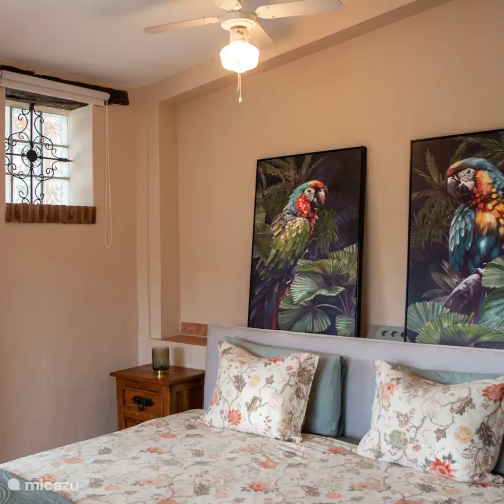 Casa Carla Andalucia - Studio Zorro