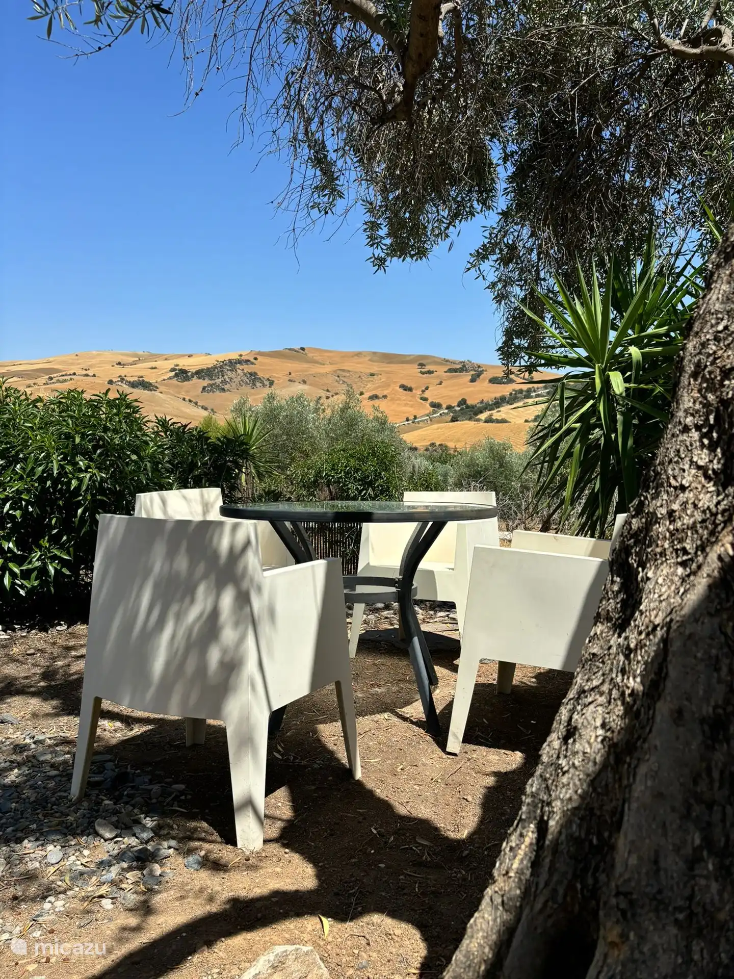 Seating in the garden with beautiful views 
