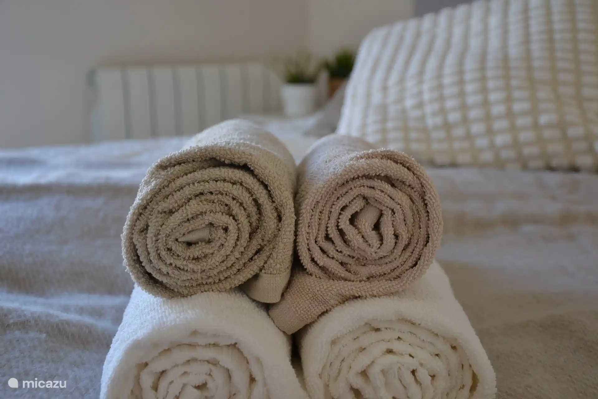 Dormitorio principal