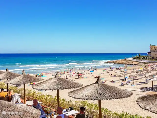 Appartement en résidence à Flamenca Village  | Espagne, Costa Blanca, Orihuela Costa - appartement Playa Flamenca