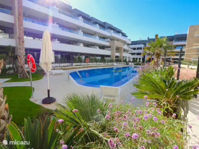 Appartement en résidence à Flamenca Village  | Espagne, Costa Blanca, Orihuela Costa - appartement Piscine commune