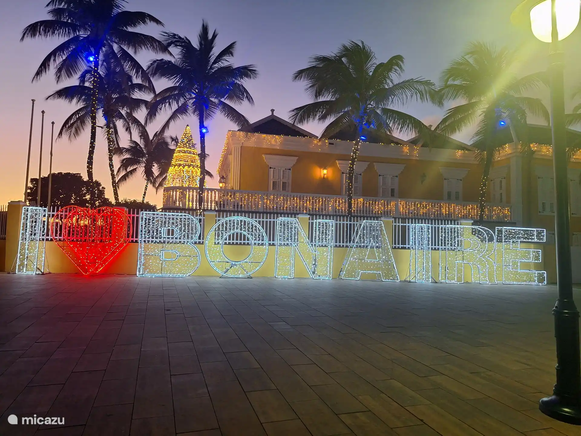 Ambiance nocturne dans la ville