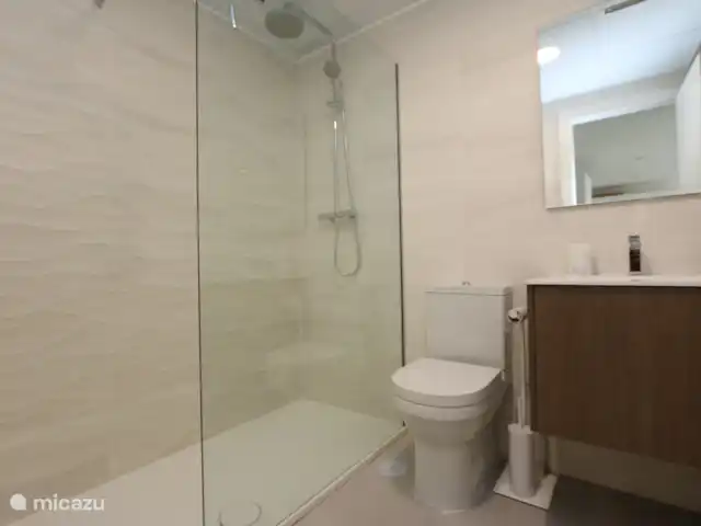 Penthouse in Pilar de la Horadada huren in Spanje, Costa Blanca, Pilar de la Horadada - penthouse Badkamer met inloopdouche