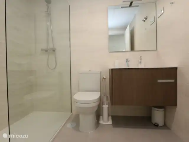 Penthouse in Pilar de la Horadada huren in Spanje, Costa Blanca, Pilar de la Horadada - penthouse Badkamer met inloopdouche