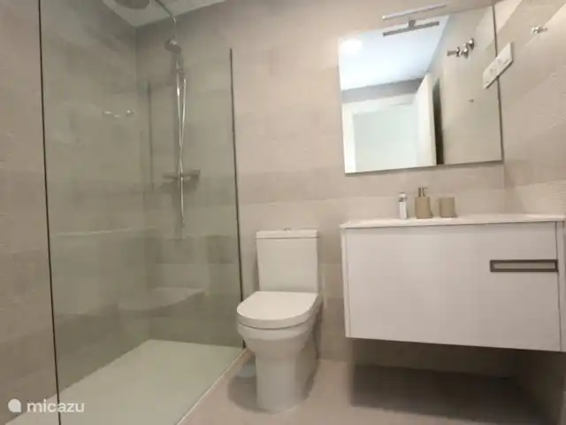 Penthouse in Pilar de la Horadada huren in Spanje, Costa Blanca, Pilar de la Horadada - penthouse Badkamer met inloopdouche