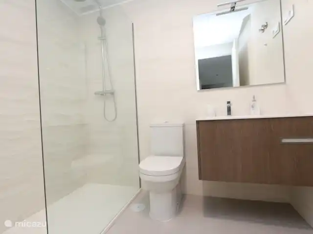 Penthouse in Pilar de la Horadada huren in Spanje, Costa Blanca, Pilar de la Horadada - penthouse Badkamer met inloopdouche