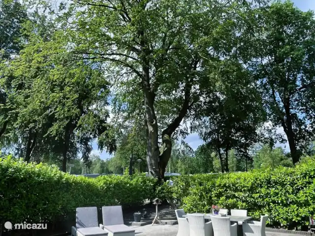 Cottage Felicity - Family Home huren in Nederland, Gelderland, Beekbergen - chalet Het chalet is omgeven door prachtige hoge bomen