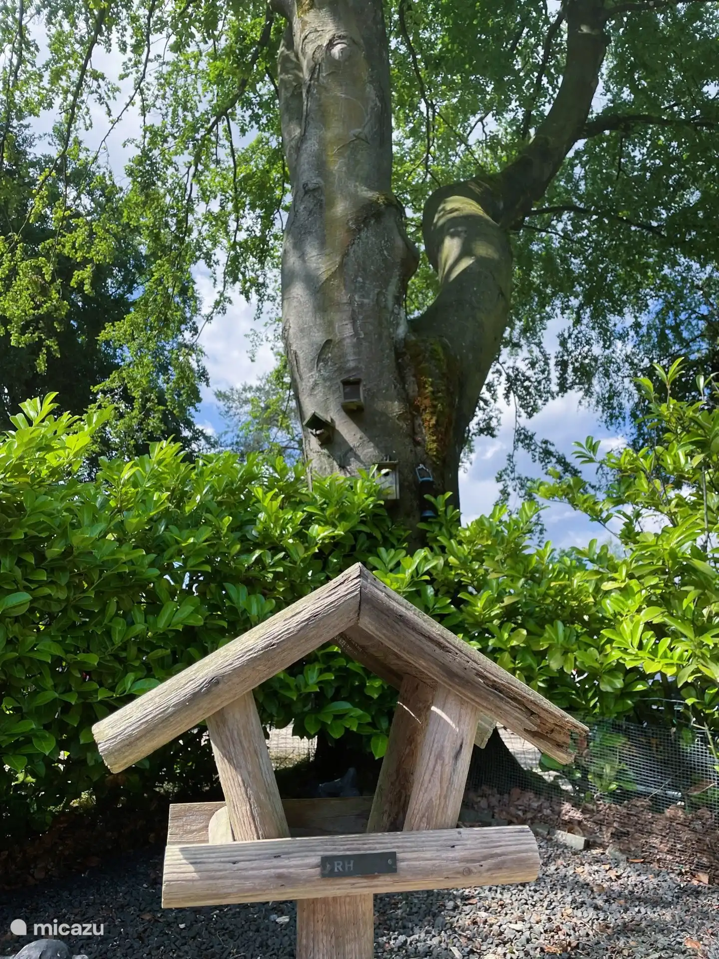 Vogelhuisje in de tuin