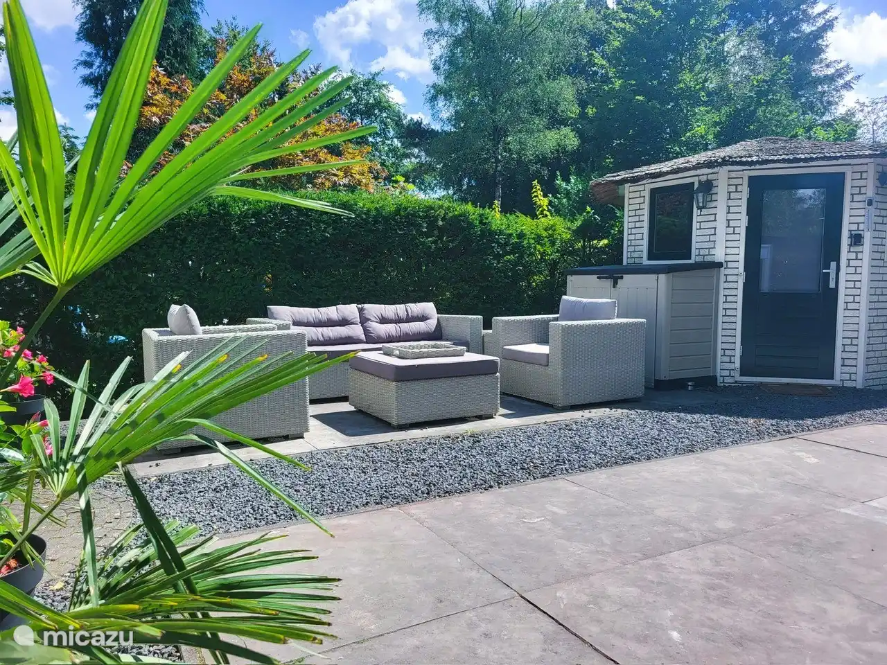 Zonnige tuin met schuurtje