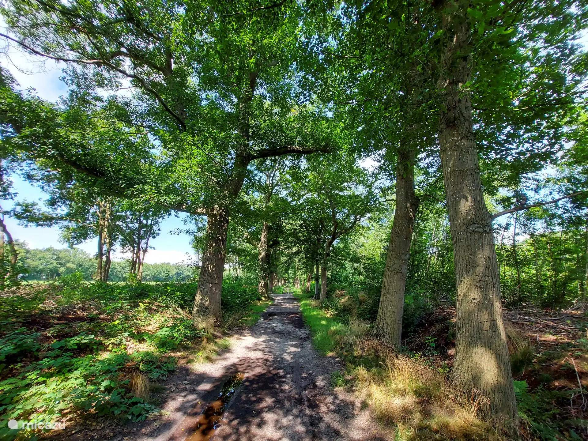 Wandelroutes direct in de omgeving