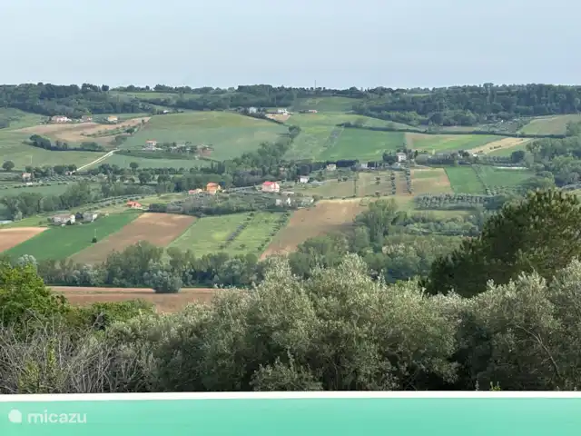 Villa Rose e Fiori (a 6 km del mar) en Italia, Marche, Potenza Picena - villa Las tierras de cultivo