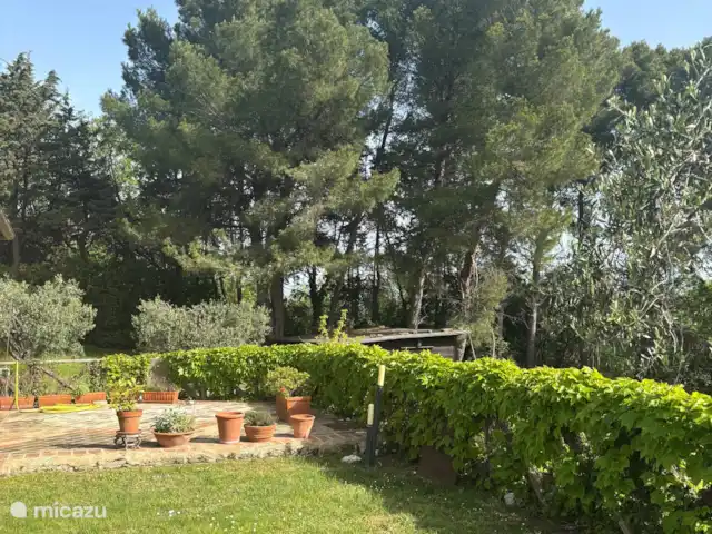 Villa Rose e Fiori (a 6 km del mar) en Italia, Marche, Potenza Picena - villa Jardín alrededor de la casa