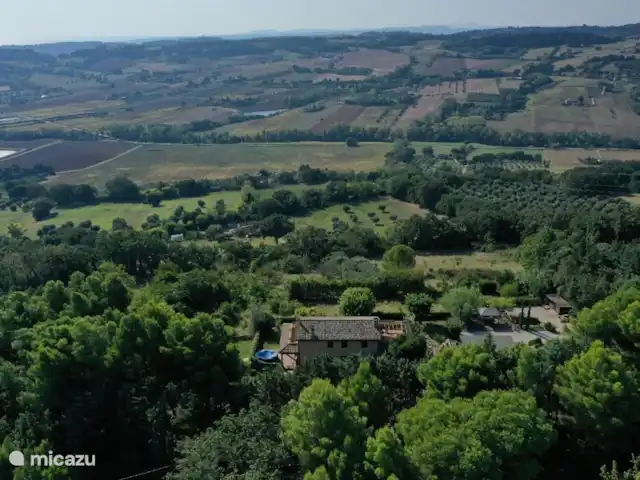 Villa Rose e Fiori (a 6 km del mar) en Italia, Marche, Potenza Picena - villa La casa está escondida entre los árboles en un callejón sin salida (camino de guijarros)