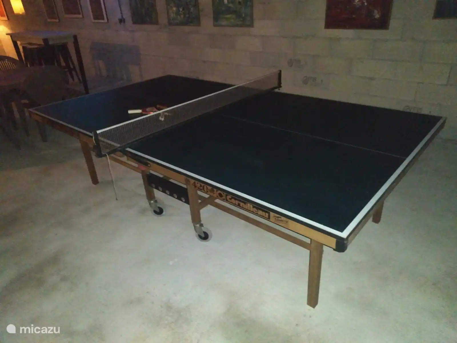 Professional ping-pong table in the veranda for lovers