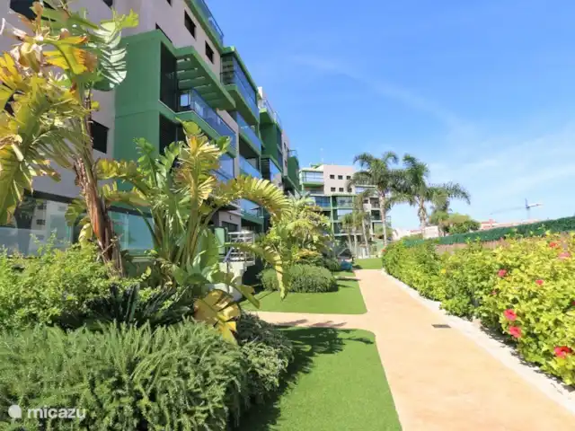 Appartement met zeezicht  huren in Spanje, Costa Blanca, Torre de la Horadada - appartement Appartement met zeezicht
