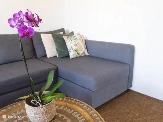 vakantiehuis huren in Portugal, Algarve, Santa Catarina da Fonte do Bispo – Casa Li Portugal