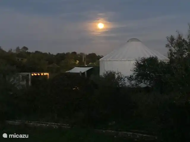 Location de Vacances Portugal, Algarve, Moncarapacho, glamping / tente safari / yourte - YURT Algarve Atmosphère à la pleine lune.