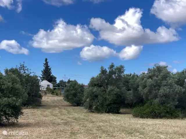 Location de Vacances Portugal, Algarve, Moncarapacho, glamping / tente safari / yourte - YURT Algarve Espace, yourte et ciel nuageux.