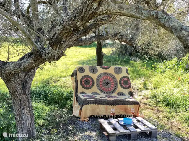 Location de Vacances Portugal, Algarve, Moncarapacho, glamping / tente safari / yourte - YURT Algarve Endroit ombragé sous un olivier.