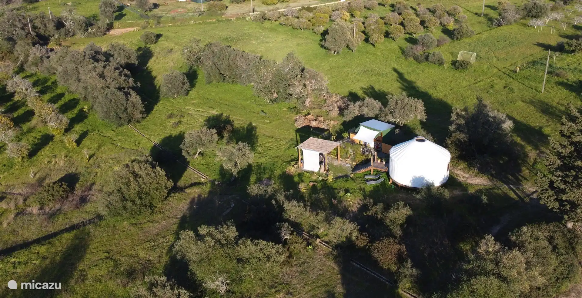 At orchard with oranges, tangerines, lemons, figs, olives, alfarrobas and medlars.