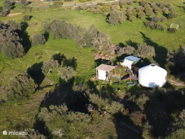 Location de Vacances Portugal, Algarve, Moncarapacho, glamping / tente safari / yourte - YURT Algarve Au verger avec des oranges, des mandarines, des citrons, des figues, des olives, des alfarrobas et des nèfles.
