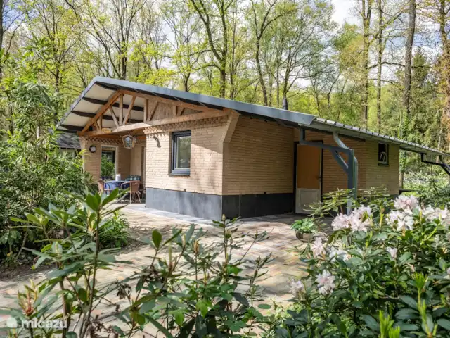 La Fuente | Pays-Bas, Overijssel, Ootmarsum - maison de vacances La Fuente | Pays-Bas, Overijssel, Ootmarsum - maison de vacances