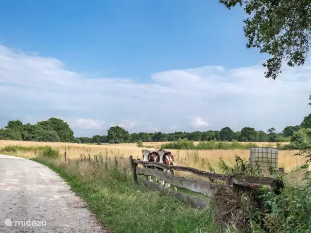 La Fuente | Pays-Bas, Overijssel, Ootmarsum - maison de vacances environnement