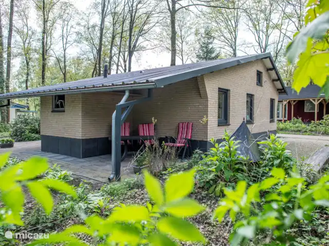 La Fuente | Pays-Bas, Overijssel, Ootmarsum - maison de vacances Terrasse arrière