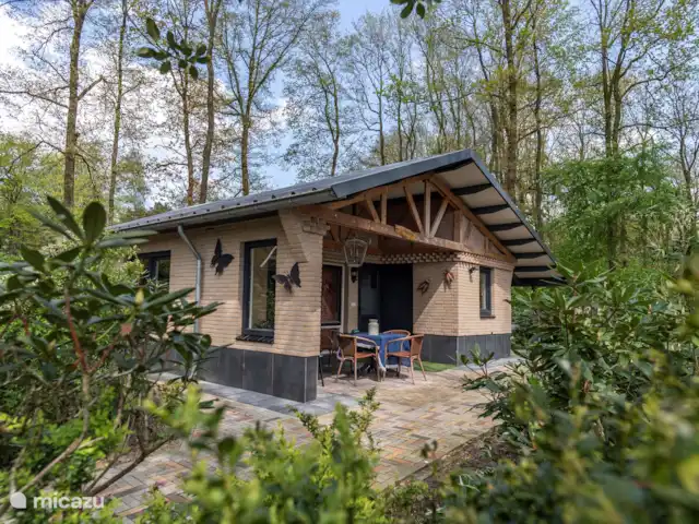 La Fuente | Pays-Bas, Overijssel, Ootmarsum - maison de vacances Terrasse arrière
